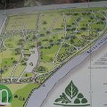 Szarvas 011